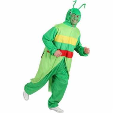 Afgeprijsde sprinkhanen verkleed onesie voor volwassenen