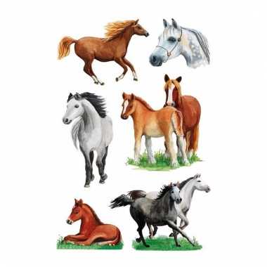 Dieren stickers paarden rassen 3 stuks