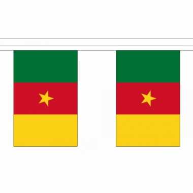 Kameroen vlaggenlijn