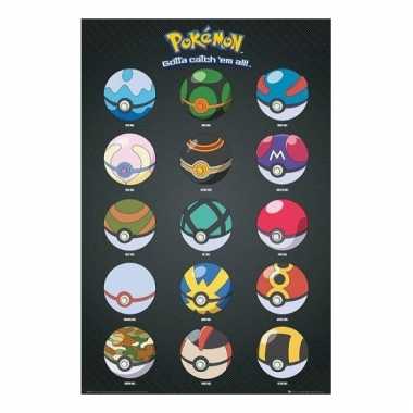 Pokemon decoratie poster pokeballs
