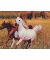 Afgeprijsde 3d dieren placemats paarden type 3