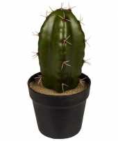 Afgeprijsde kunstplant cactus in zwart potje 18 cm type 1