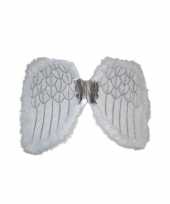 Afgeprijsde vleugels voor een engel 36 cm