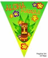 Aloha vlaggenlijn 5 meter
