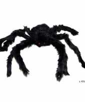 Halloween dieren zwarte spin 40 cm