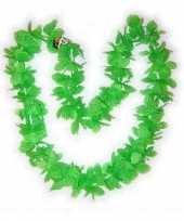 Hawaiikrans groen