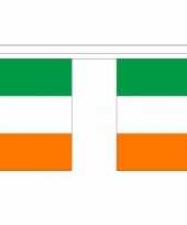 Ierland vlaggenlijnen 10036632