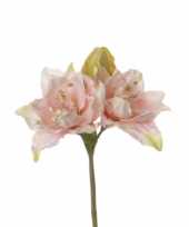 Nep amaryllis roze 41 cm