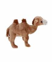 Pluche kamelen knuffel 22 cm