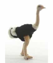 Pluche struisvogel knuffel 32 cm