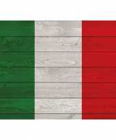 Poster van de italiaanse vlag op hout 84 cm