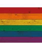 Poster van de regenboog vlag op hout 84 cm