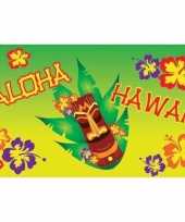 Thema vlag hawaii aloha