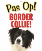 Waakbord border collie hond