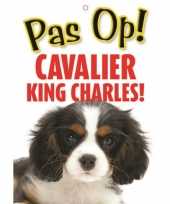 Waakbord cavalier king charles hond